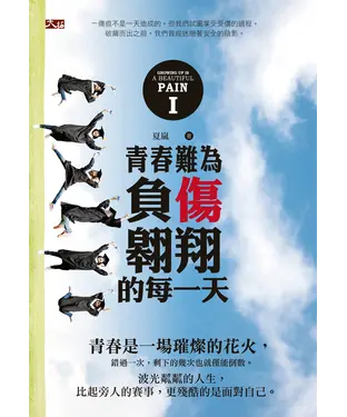 書封 青春難為 ： 負傷翱翔的每一天